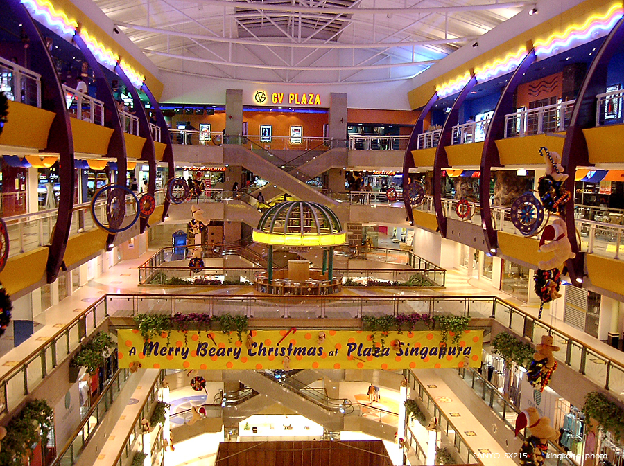 SANY0830.JPG - Singapore