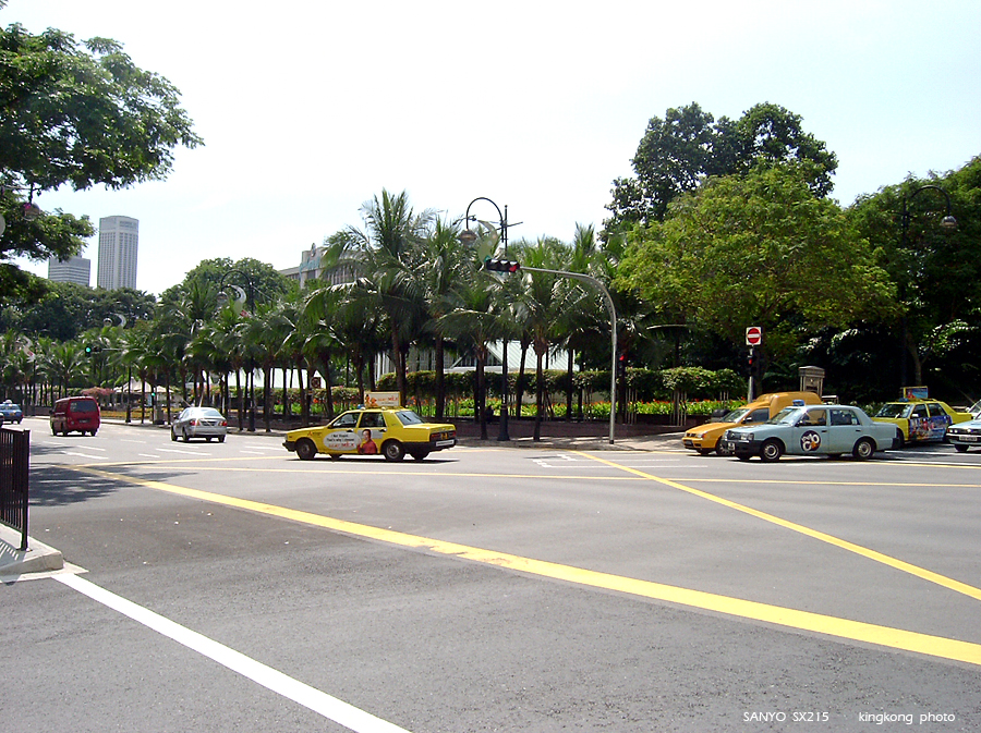 SANY0837.JPG - Singapore