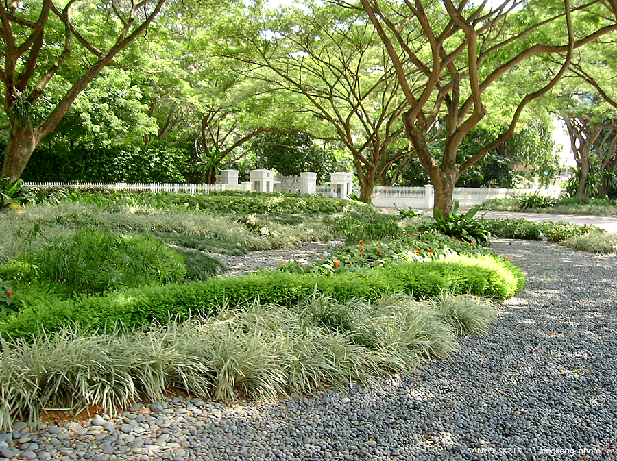 SANY0839.JPG - Singapore