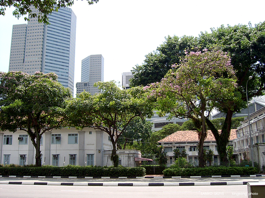 SANY0851.JPG - Singapore
