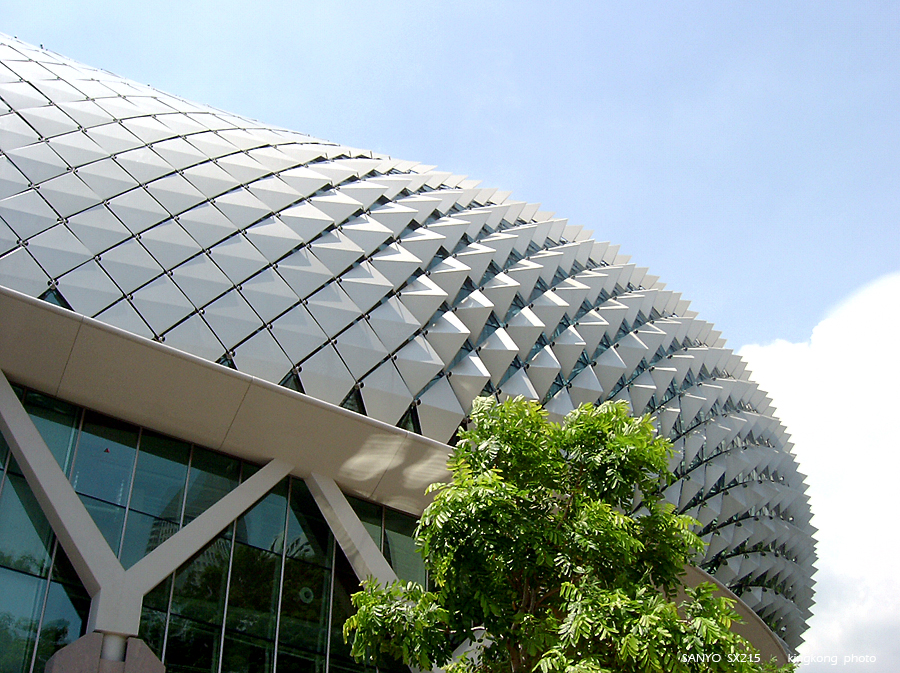 SANY0860.JPG - Singapore