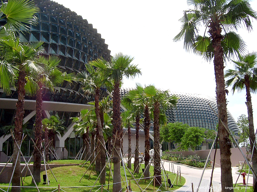 SANY0862.JPG - Singapore