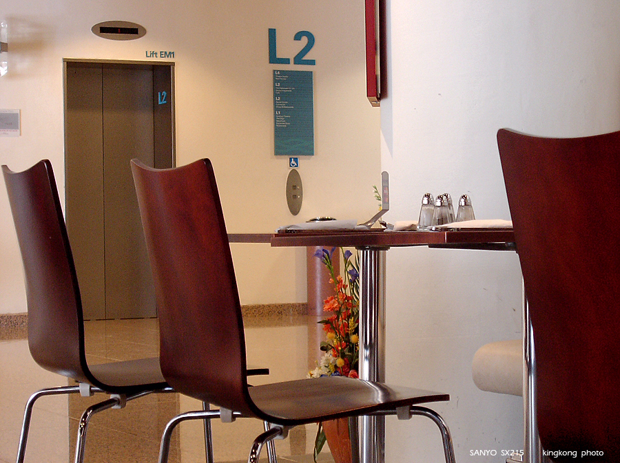 SANY0873.JPG - Singapore