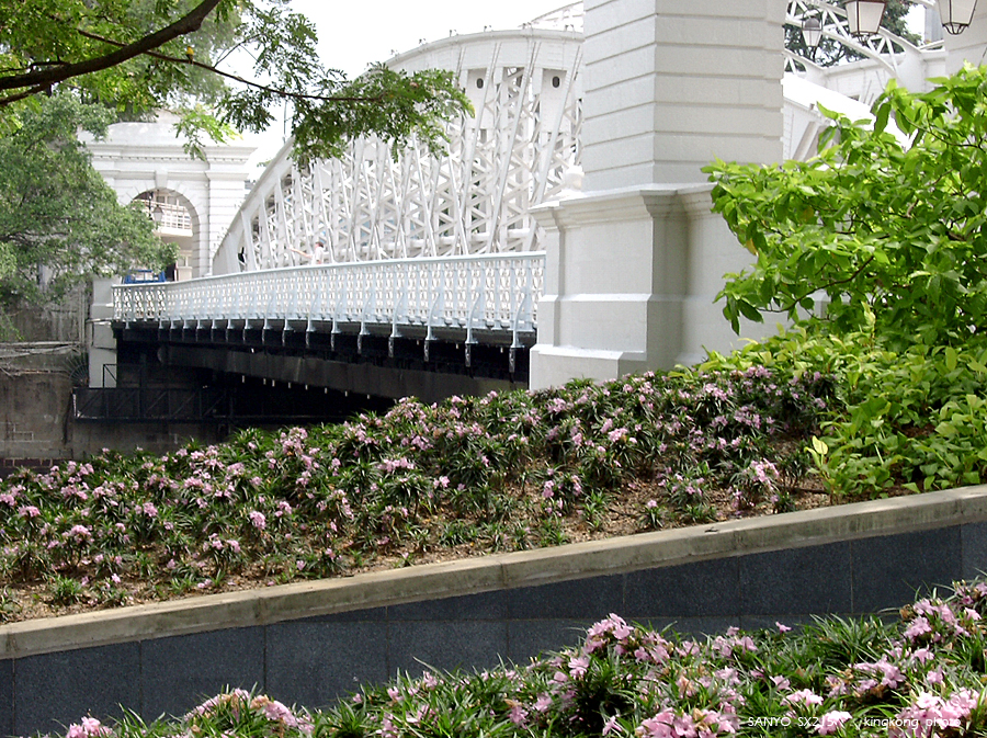 SANY0877.JPG - Singapore