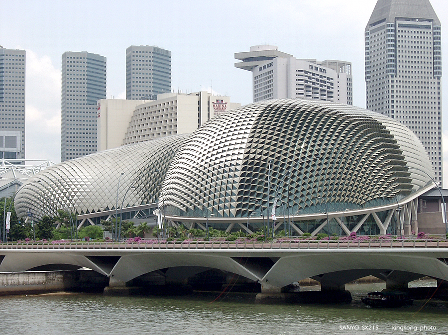 SANY0880.JPG - Singapore