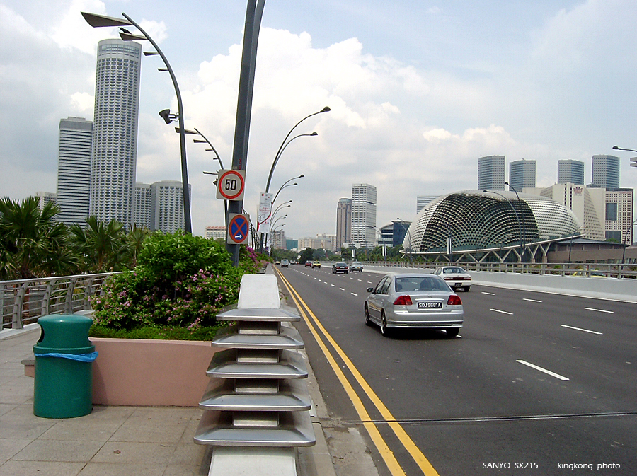SANY0884.JPG - Singapore
