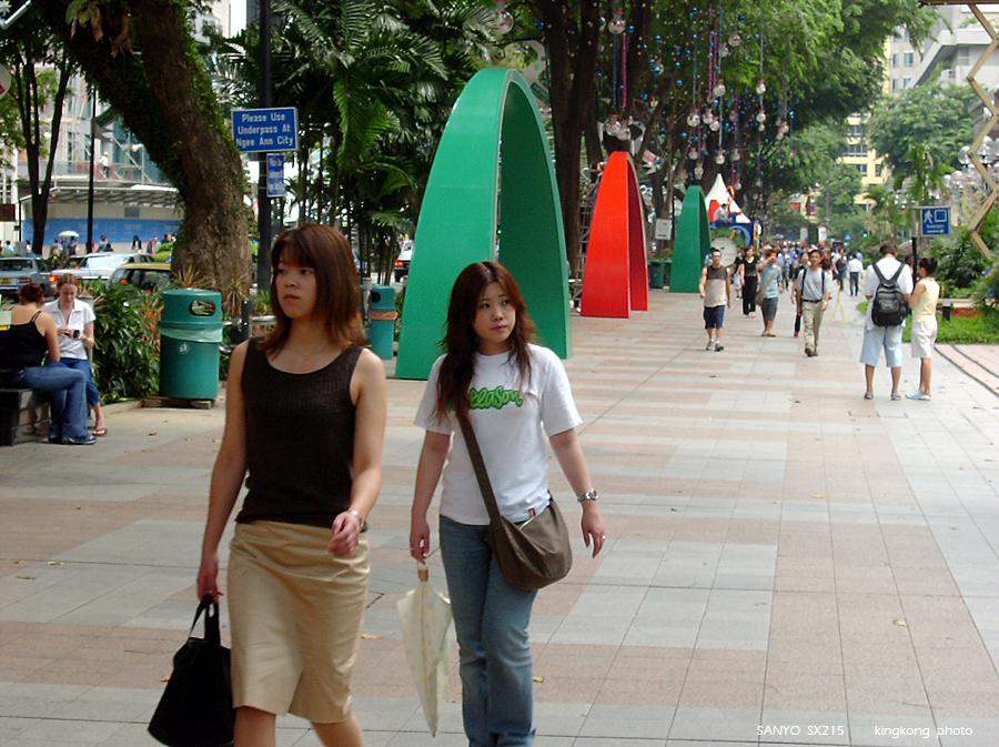 SANY0901.JPG - Singapore