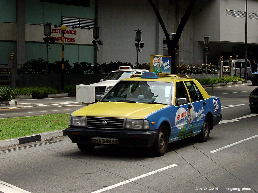 SANY0903.JPG - Singapore