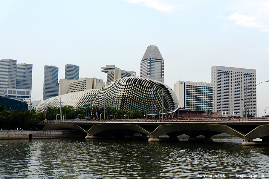 _DSC2391.jpg - SONY DSC