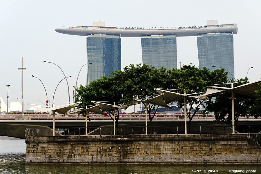 _DSC2392.jpg - SONY DSC