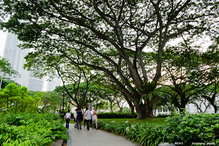 _DSC2394.jpg - SONY DSC