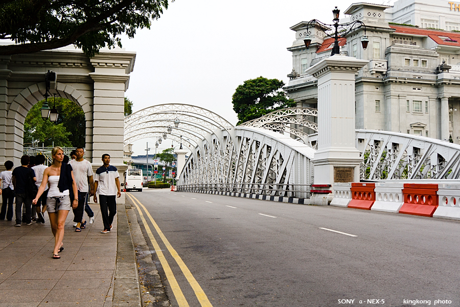 _DSC2395.jpg - SONY DSC