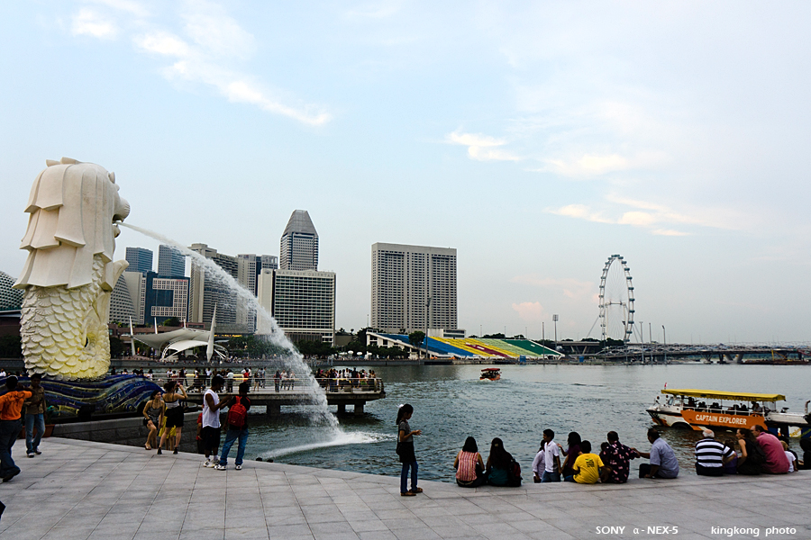 _DSC2400.jpg - SONY DSC