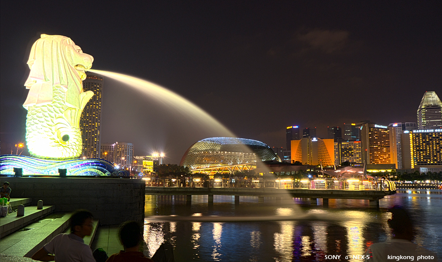 _DSC2445.jpg - SONY DSC