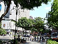 SANY0249