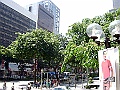 SANY0262