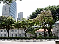 SANY0851