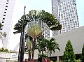 SANY0859
