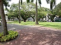 SANY0875
