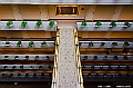 _DSC2371