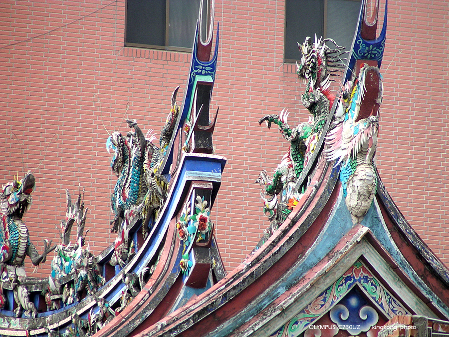 P2070286.JPG - OLYMPUS DIGITAL CAMERA