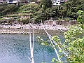 P2060239