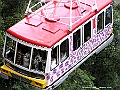 P2060253