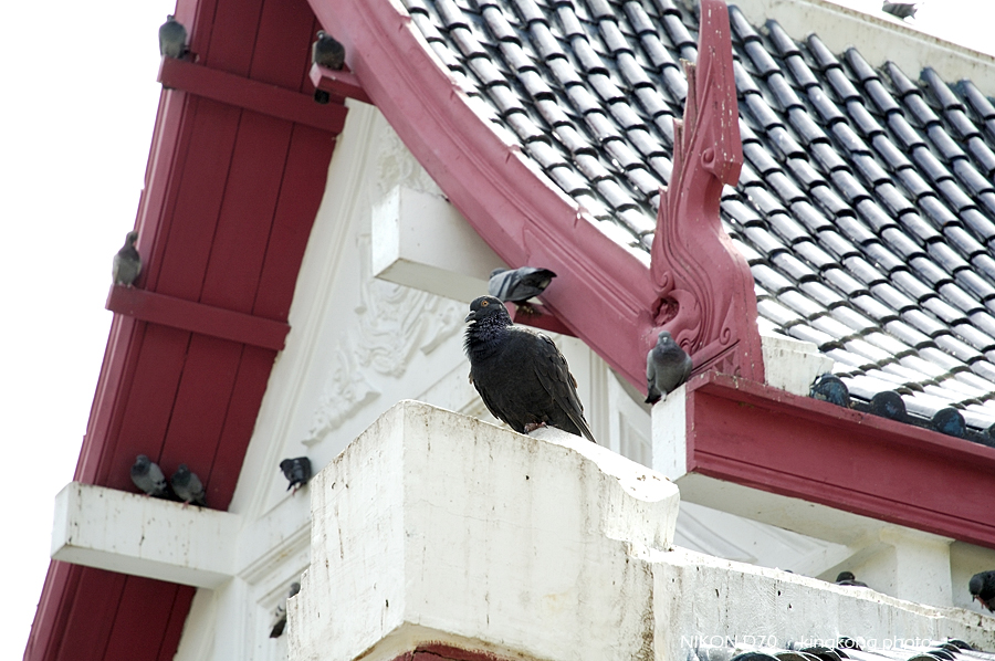 _DSC1872.jpg - Bankok 2005
