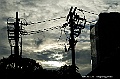 _DSC1704