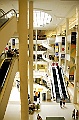 _DSC1810
