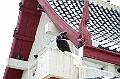 _DSC1872