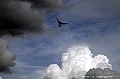 _DSC1934
