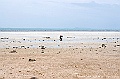 PICT0070