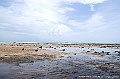 PICT0072