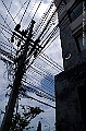 PICT0081
