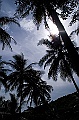 PICT0101