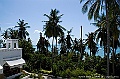 PICT0195