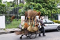 PICT0277