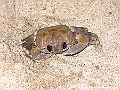 DSCF1076
