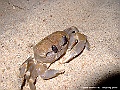 DSCF1079