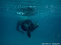 DSCF1095