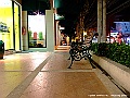 DSCF1175