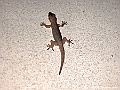DSCF1182