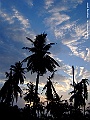 DSCF1185