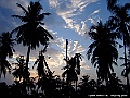 DSCF1186