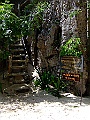 DSCF1199