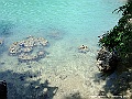 DSCF1219