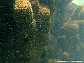 DSCF1239