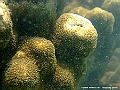 DSCF1240