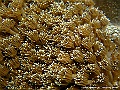 DSCF1241